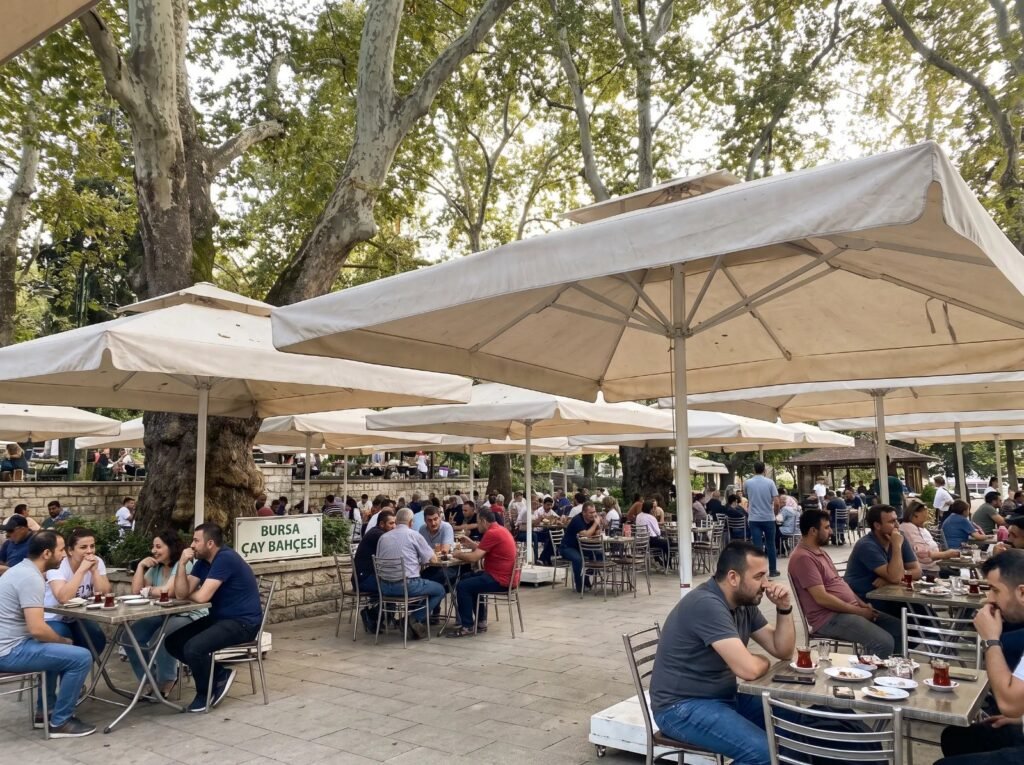 Park çay bahçesinde büyük şemsiyeler